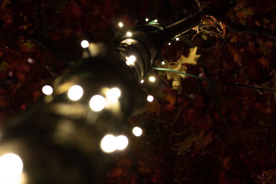 The lighting ceremony took place in Fort Collins’ Old Town Square started at 6:30p.m. Nov 5. The ceremony hosted the live jazz band Atom Collective. (Grayson Reed | The Collegian)