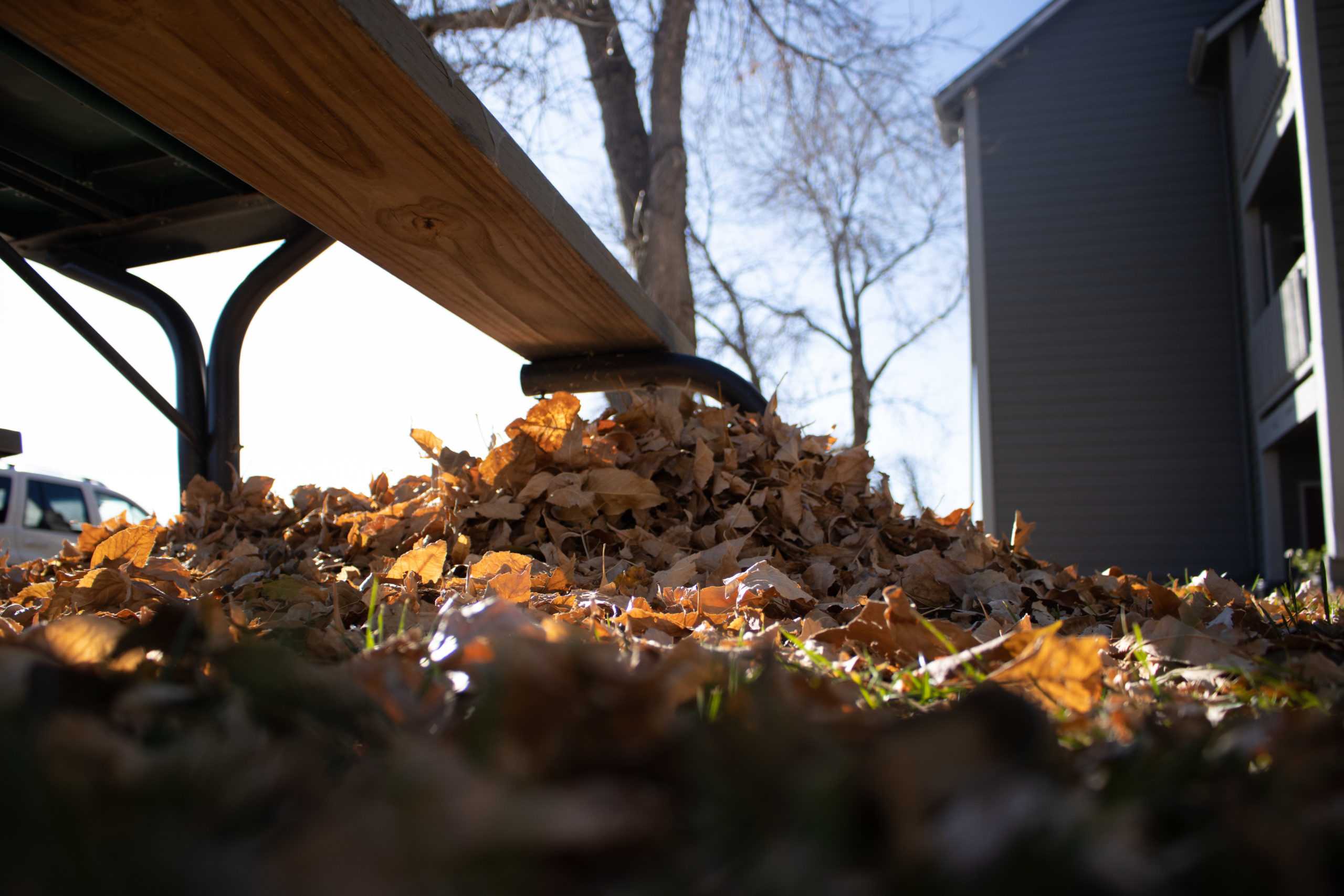 Leaves pile up under a bench