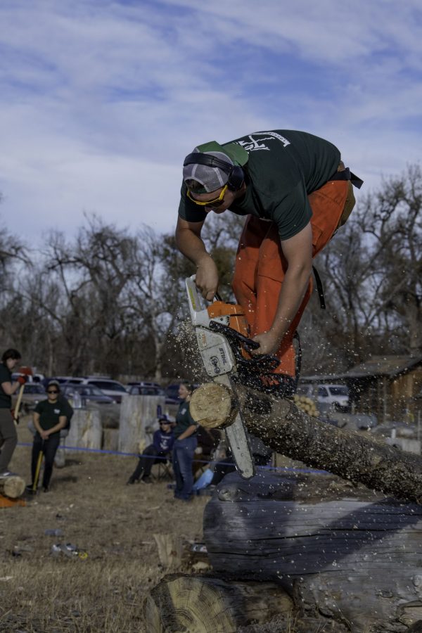 Chris Graham, vice president of the Colorado State University logging sports team cuts a “cookie” during an event known as OP at a demonstration and community day Nov. 14. The obstacle pole event is a favorite amongst the team consisting of running up a log starting the saw after a certain point on the long, cutting a “cookie” off the end, stopping the saw and running back down the log. (Garrett Mogel | The Collegian)