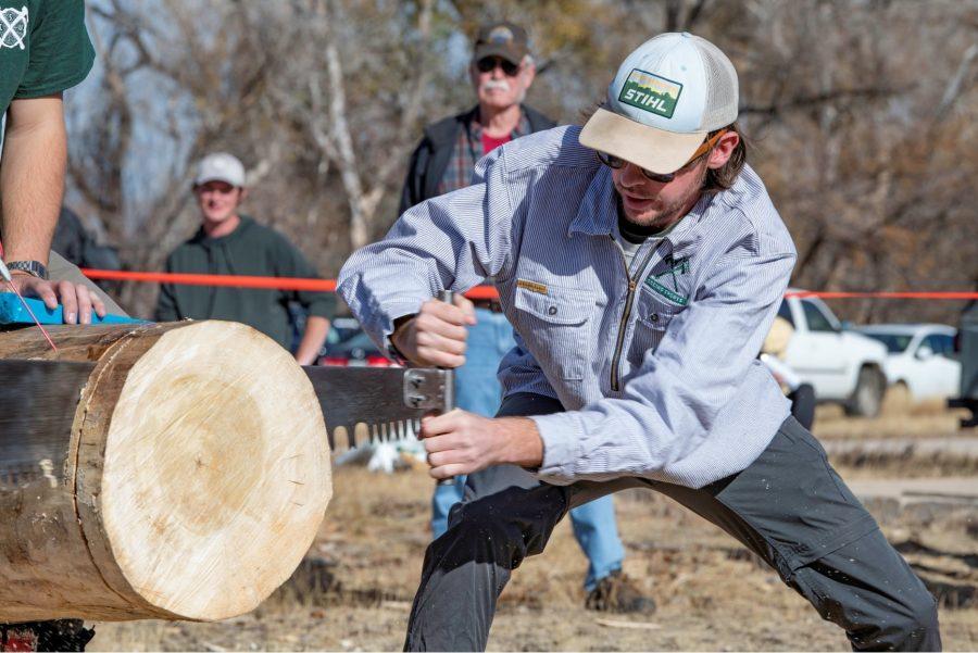 Lincoln Jacobway, travel and safety officer of the Colorado State University logging sports team helps cut a “cookie” with a two person saw during a demonstration and community day Nov. 14. The team is nearly 100 years old winning several awards through their years of competition. (Garrett Mogel | The Collegian)