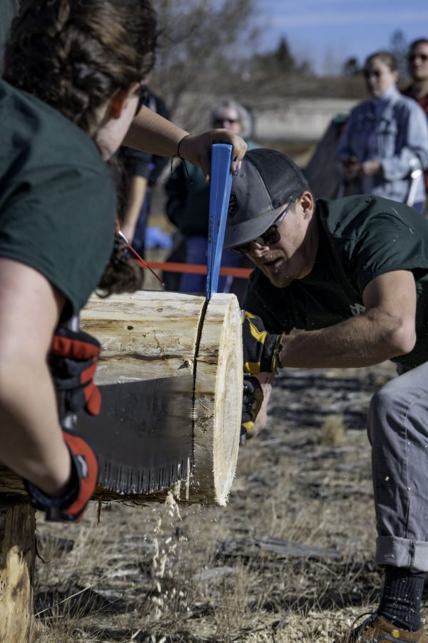 Natalie McConnell and Riley Knap, members of the Colorado State University logging sports team cut a “cookie” with a two person saw during a demonstration and community day Nov. 14. The team is nearly 100 years old winning several awards through their years of competition. (Garrett Mogel | The Collegian)