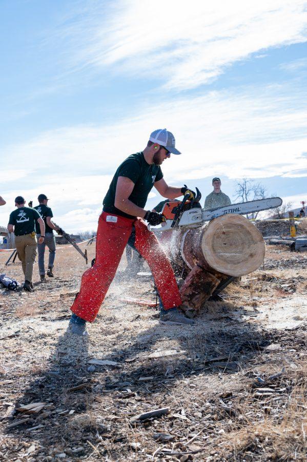 Karson Wilson, member of the Colorado State University logging team, cuts a clean "cookie" during the stock saw event Nov. 14.