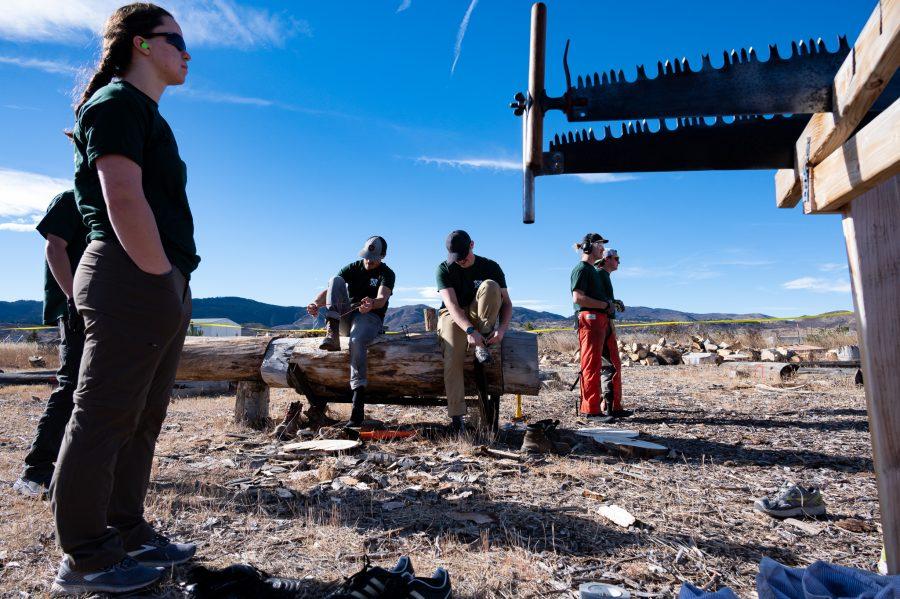 CSU Logging team prepares for the next event which is the double buck saw Nov. 14. (Milo Gladstein | The Collegian)