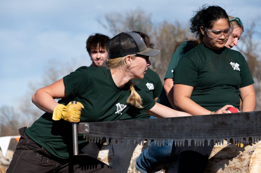 Maddie Pringle saws as quickly as possible with her teammate in the double buck saw event Nov. 14. This was the second of four events that day. (Milo Gladstein | The Collegian)