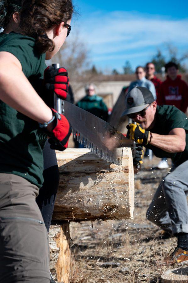 Natalie McConnell and Riley Knap, members of the CSU logging team compete together in the double buck saw event Nov. 14. The team has been around for 100 years and has won countless competitions. (Milo Gladstein | The Collegian)