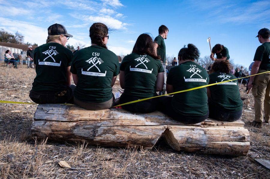 The CSU Logging team sits together during the underhand chop event Nov. 14. (Milo Gladstein | The Collegian)