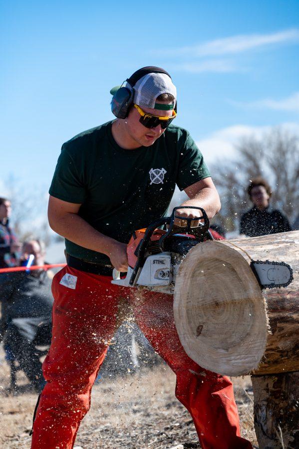 Chris Graham, Vice President of the CSU Logging Team cuts through a log Nov. 14. Graham stated, “I got my first officer position last year, and I was the pure development officer and senior vice president.” (Milo Gladstein | The Collegian)