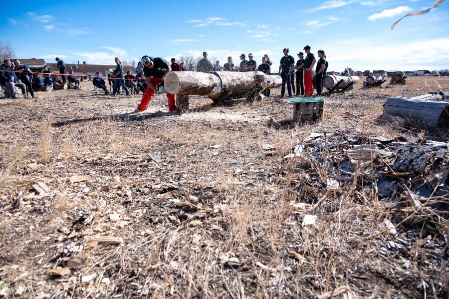 Chris Graham, Vice President of the CSU Logging Team cuts through a log Nov. 14. Graham stated, “The team has been around officially since the 90’s, though the student organization of practicing logging sports has been around since the early 1900s.” (Milo Gladstein | The Collegian)