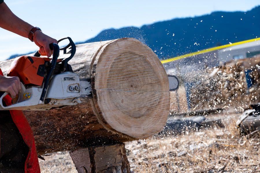 Member of the CSU Logging team cuts through a log during the stock saw event Nov. 14. (Milo Gladstein | The Collegian)