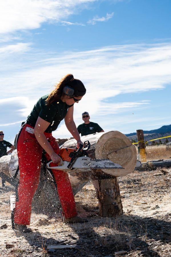 Miranda Zuvich President of the CSU logging team tries to saw through the log as quickly as possible in the stock saw event Nov. 14. Lincoln Jacobway, Travel and safety officer, stated "we started competing at forestry days that used to be something that would happen around the Oval." (Milo Gladstein | The Collegian)