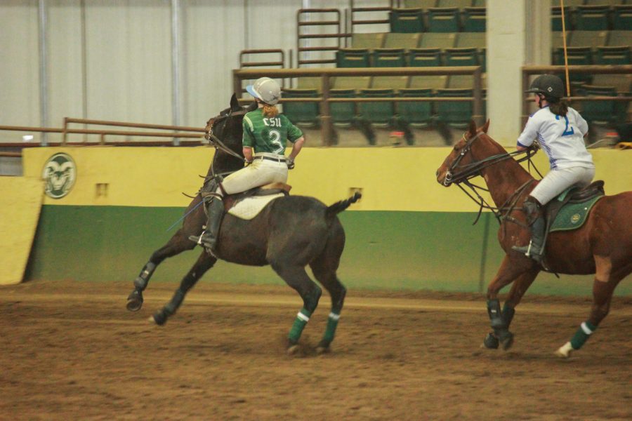 A horse rears slightly as player three tries to gallop towards the ball