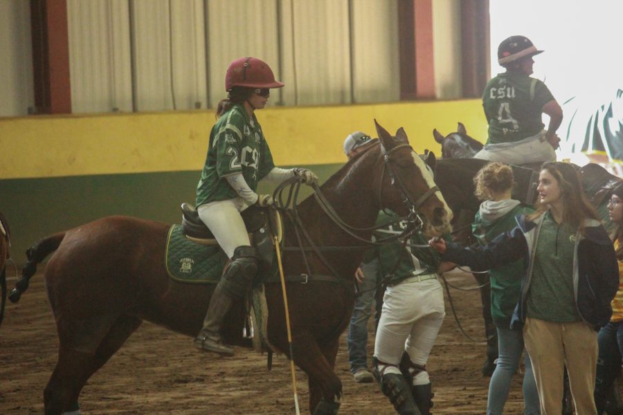 Colorado State's player number two gets ready to hop off, while another member of the team helps hold the horse.