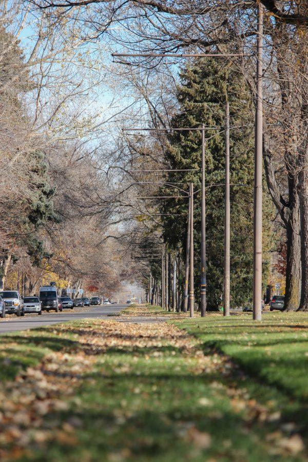 The railway is surrounded by rows of trees and houses along W Mountain Ave.