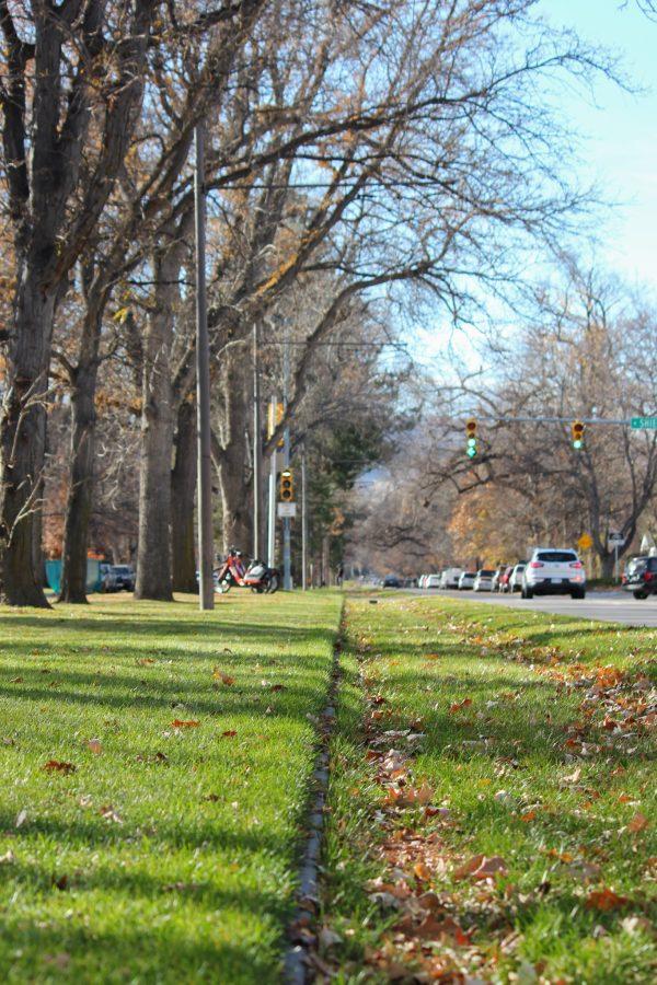 The streetcar tracks can be slightly seen as grass grows around them.