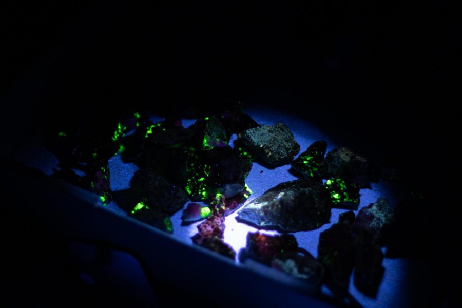 Illuminating rocks under Ultraviolet light at the Colorado State University Little shop of Physics dark room Nov 20. The LSOP workshop taught and encouraged high school students to create experiments using simple household materials that show off their understandings of physics. (Grayson Reed |The Collegian)