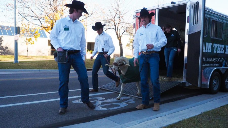 Cam the Ram exits his trailer to head to a tailgate for the Colorado State football game vs. Air Force Nov. 13.