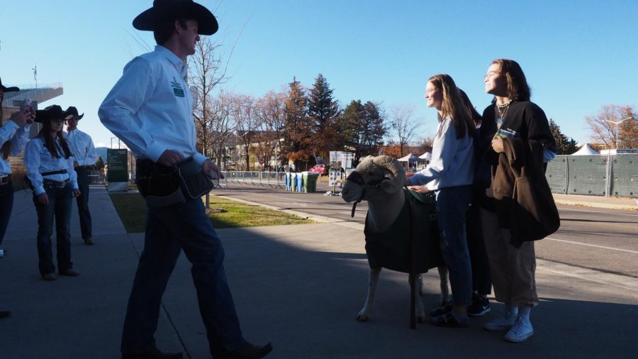 CAM the Ram poses with fans at the Colorado State tailgate Nov. 13.