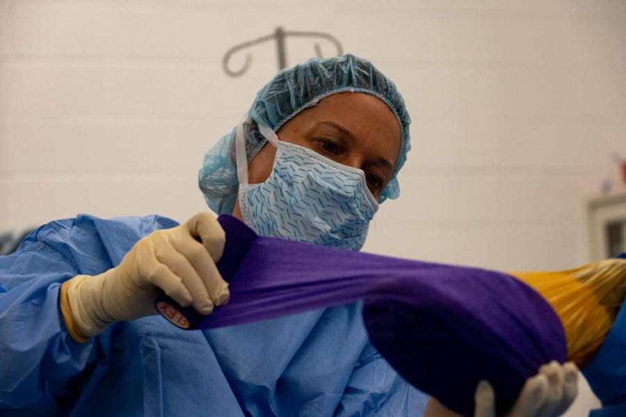 Dr. Laurie Goodrich prepares Carmen for surgery at The Johnson Family Equine Hospital to let out fluid build-up caused by a tendon tear