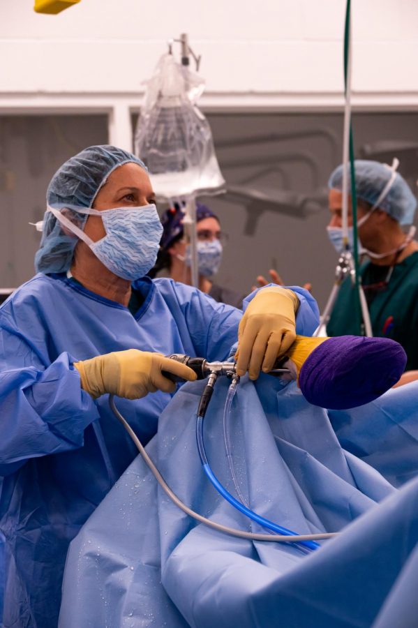 Dr. Lauri Goodrich uses the video camera and various tools during surgery at The Johnson Family Equine Hospital to let out fluid build-up caused by a tendon tea