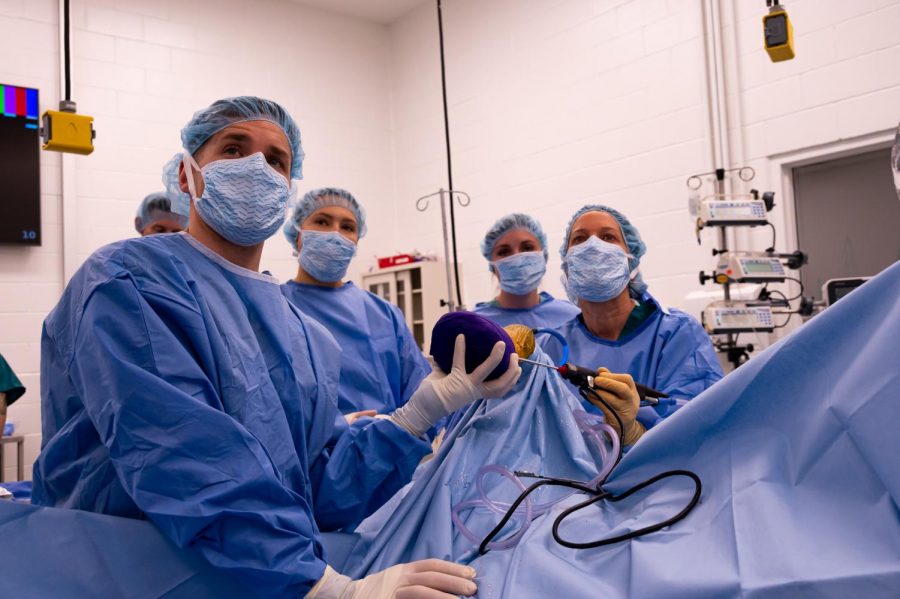 Dr. Tom O’Brian, Dr. Charlie Barton, Brooke Hursh and Dr. Laurie Goodrich perform surgery on Carmen at The Johnson Family Equine Hospital to let out fluid build-up caused by a tendon tear
