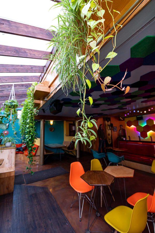 The Atrium is filled with plants and lights, but also has plenty of overhead natural light
