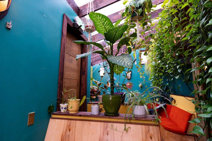 The Atrium is filled with plants and lights, but also has plenty of overhead natural light