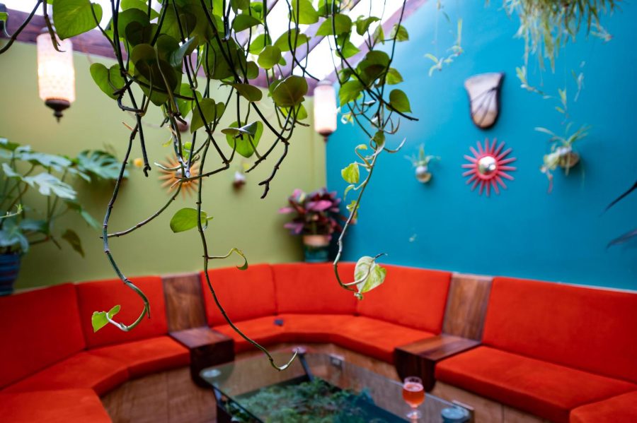 The lounge area filled with plants at The Atrium in Fort Collins, CO