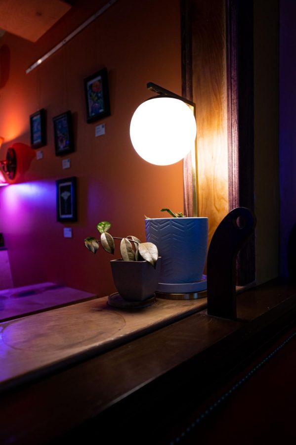 An Orb light sits above plants inside the Atrium in Fort Collins, CO
