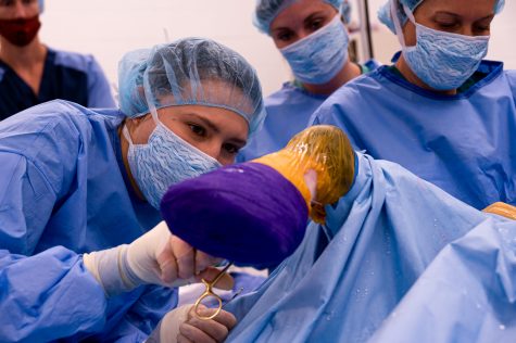 Brook Hursh, fourth year vet student at Colorado State University in her first ever surgery at the Johnson Family Equine Hospital