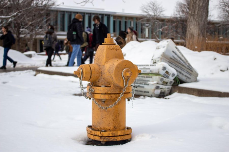 Students passing a fire hydrant while walking to class after the snowplows cleared the sidewalks Jan. 25 (Lee Medley | The Collegian)