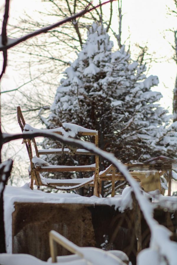 The metal frame of a patio bench sits on the foundation of a house that no longer stands.