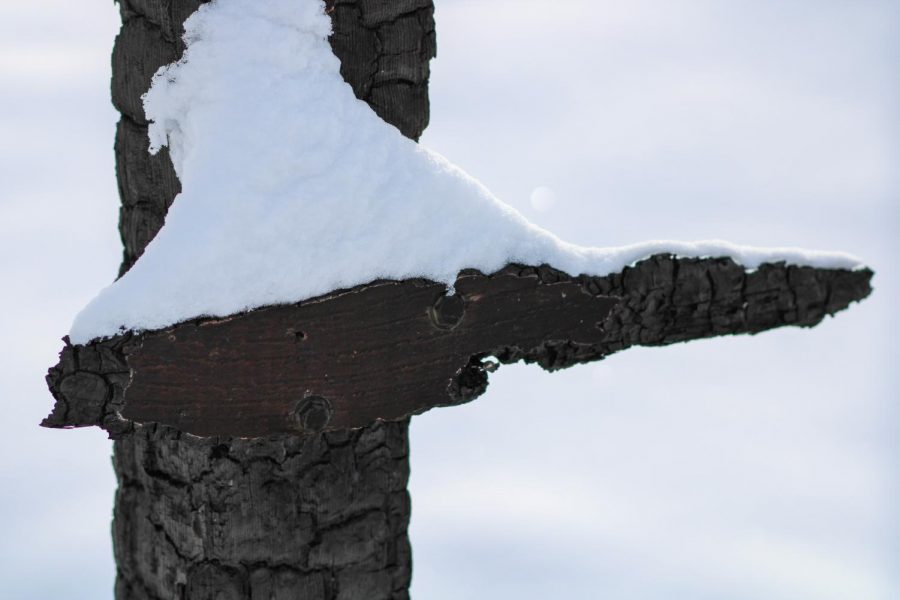 The charred post of a mailbox sits under a blanket of snow.