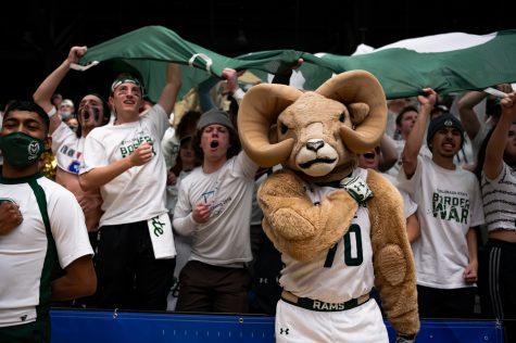 Colorado State University fans hold up their hands and cheer with Cam The Ram during the CSU basketball game vs University of Wyoming at Moby Arena