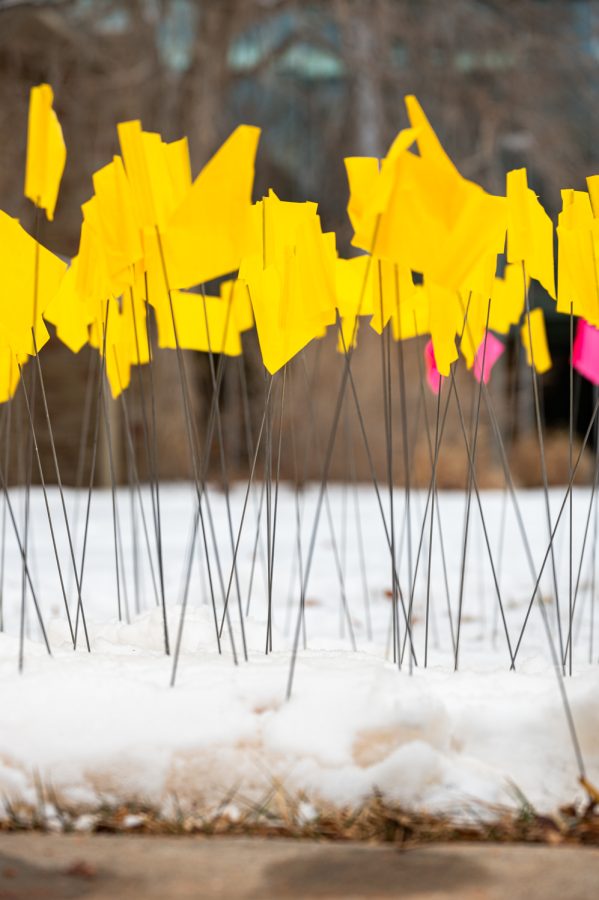 Flags planted in the ground outside the Lory Student Center at Colorado State University to memorialize Holocaust victims