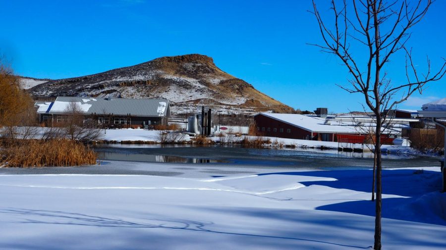 The facilities of Morning Fresh Dairy and Noosa Yogurt sit underneath the foothills of the Poudre Canyon Feb. 4, 2022.
