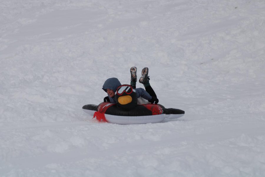 CSU students enjoy their snow day sledding around campus.