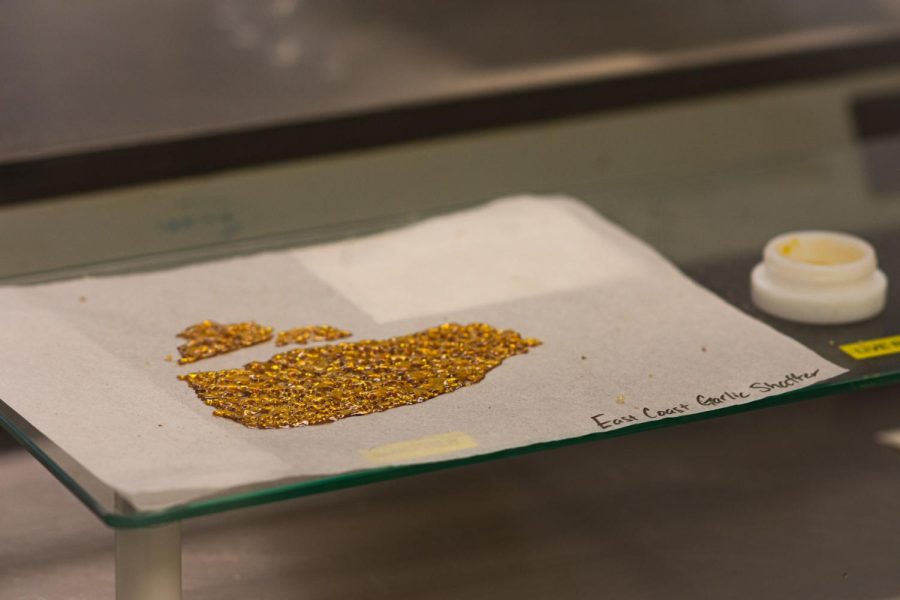 A sheet of concentrates at Seed & Smith in Denver, Colorado