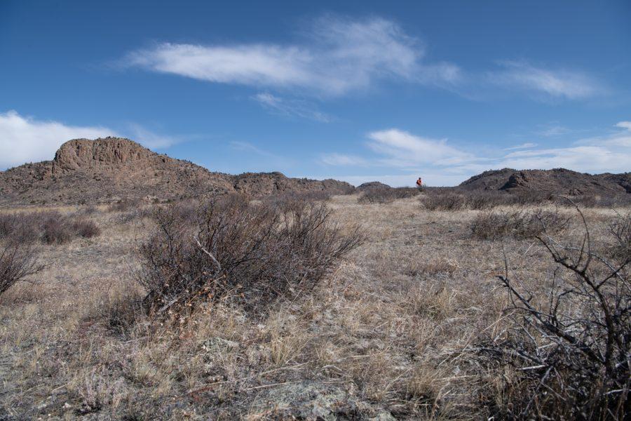 13. Ben Draper stands in a field atop a ridge to gain a better view of the mock search area April 9.