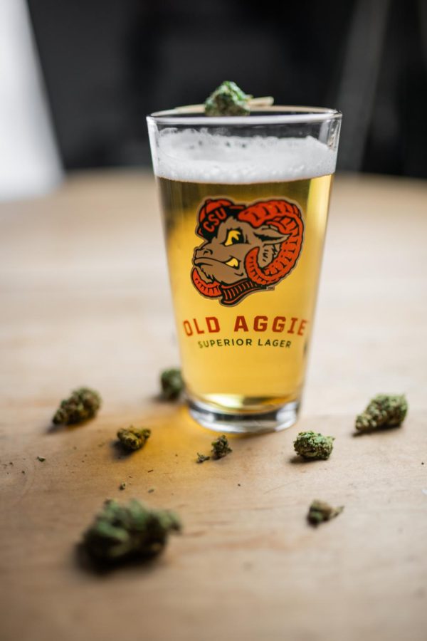 A glass of New Belgium Brewings Old Aggie lager sits surrounded by cannabis flower buds