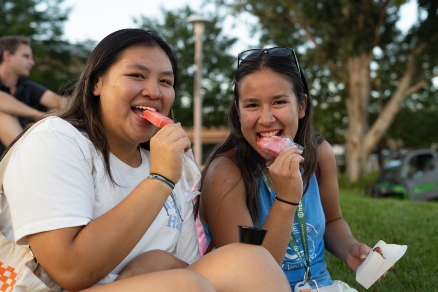 Two students sitting on the grass eating popsicles.