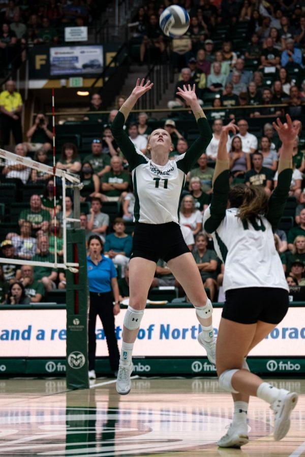 Colorado State University Setter Ciera Pritchard (11) sets the ball during the CSU Volleyball game against the North Carolina Tarheels at Moby Arena Aug. 26 The Game resulted in a win for CSU of 25-17.