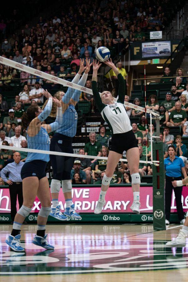 Colorado State University Setter Ciera Pritchard (11) sets the ball during the CSU Volleyball game against the North Carolina Tarheels at Moby Arena Aug. 26 The Game resulted in a win for CSU of 25-17.