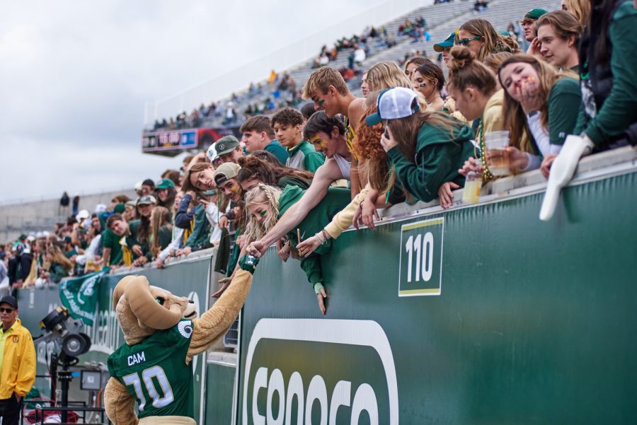 Football fans lean over a barrier to fist bump a cam the ram mascot.