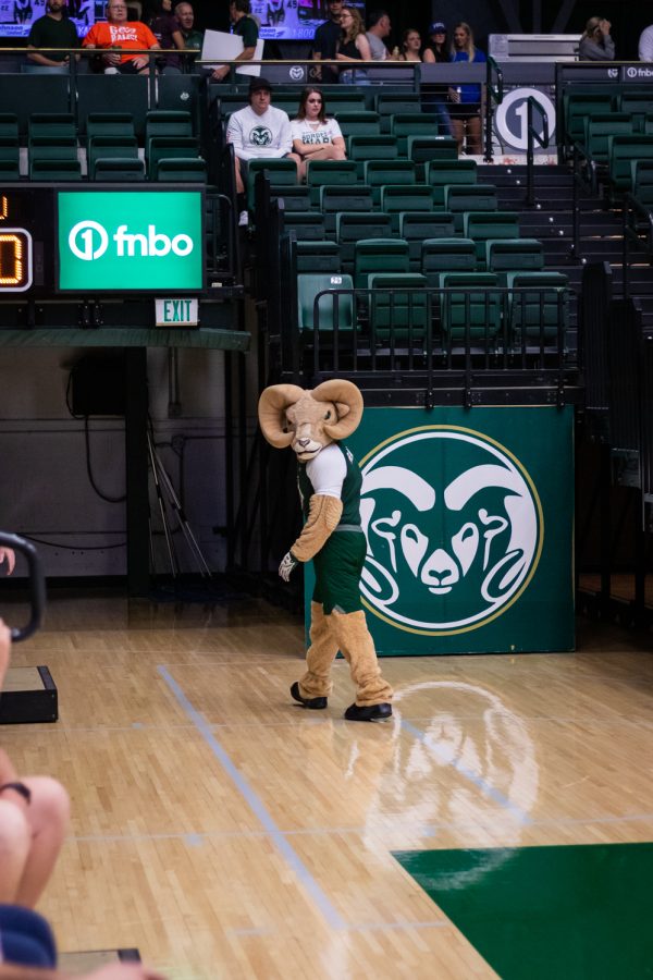 Colorado State University mascot, Cam The Ram looking back during the game against Florida Gulf Coast University Sep. 2 Colorado State won 3-1.