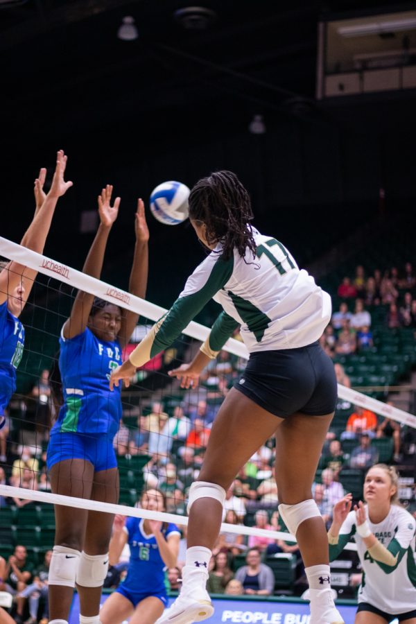 Kennedy Stanford (17) spiking a ball during the Colorado State University vs Florida Gulf Coast University game on Sep. 2. Colorado State won 3-1.