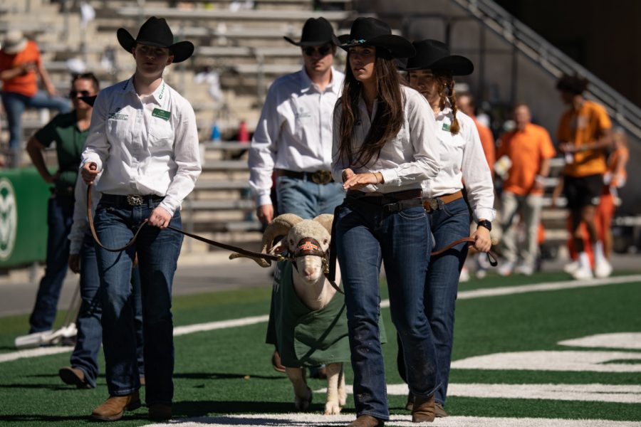 Ram Handlers lead Cam the Ram before running across the field with the CSU football team to kick off the game on Sept. 24, 2022. Photo by Sara Shaver.