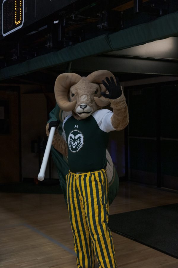 Colorado State University mascot CAM the Ram poses for a photo