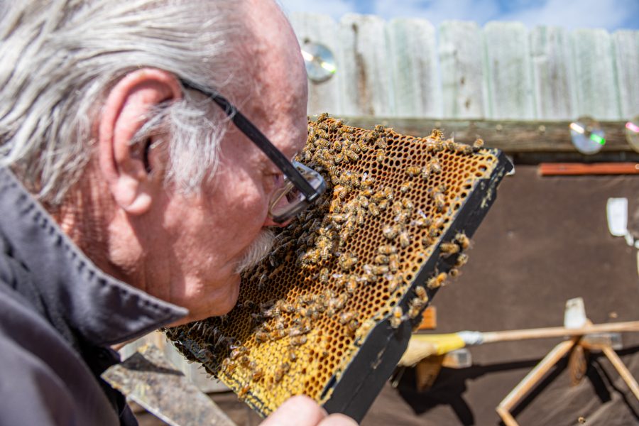 Dave Primer, board member of Northern Colorado Beekeeper Association, enjoys the smell of honey and pollen