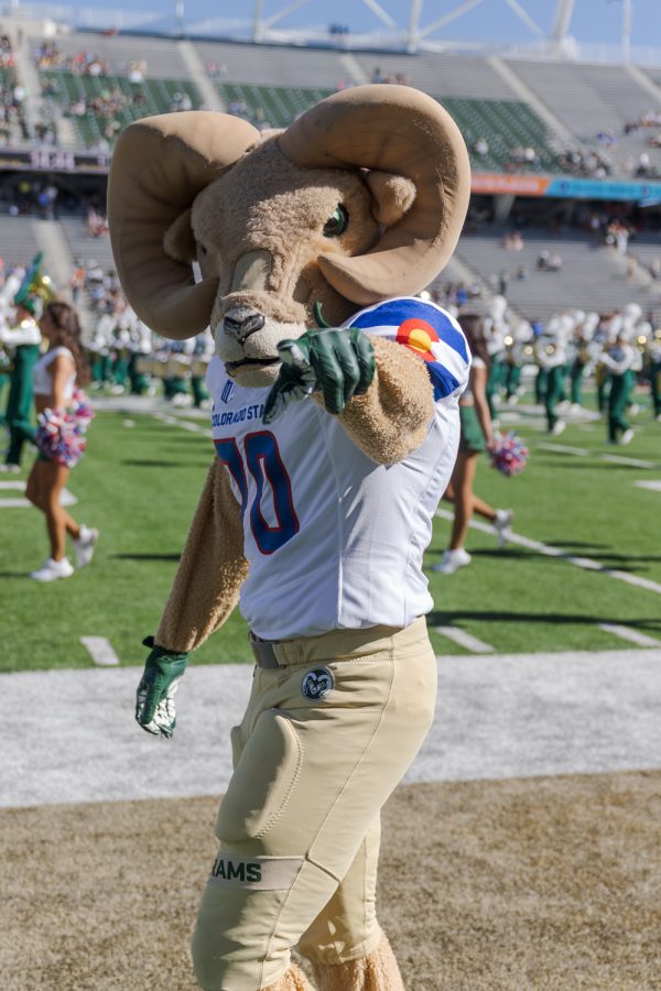 Colorado State University mascot CAM the Ram poses for a photo