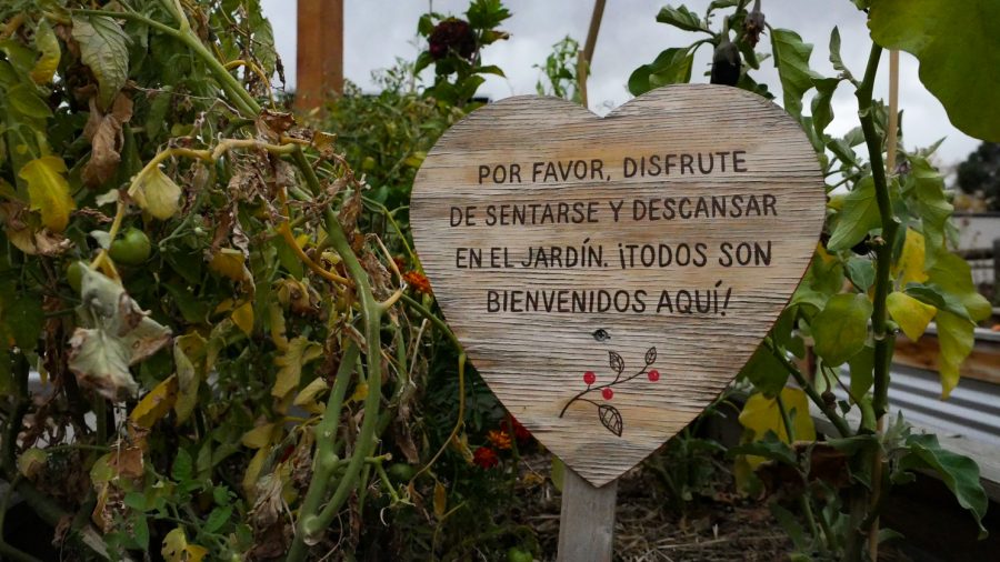 A heart shaped sign in the community garden at FoCo cafe Oct. 23.
